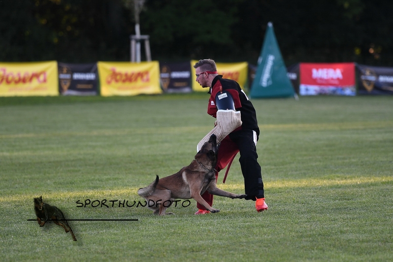 Impressionen 466.jpg